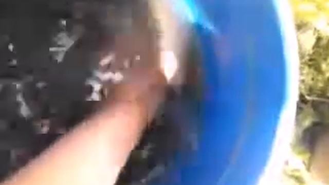 Хороший улов на тройной крючок смотреть онлайн