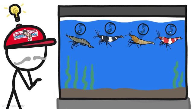 Чому деякі креветки коштують більше, ніж автомобіль [MinuteEarth] смотреть онлайн