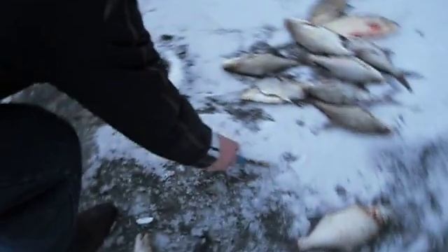 Павлодар. рыбалка на Лебединке. смотреть онлайн