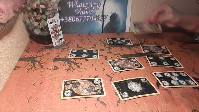 Благородный пиковый король смотреть онлайн