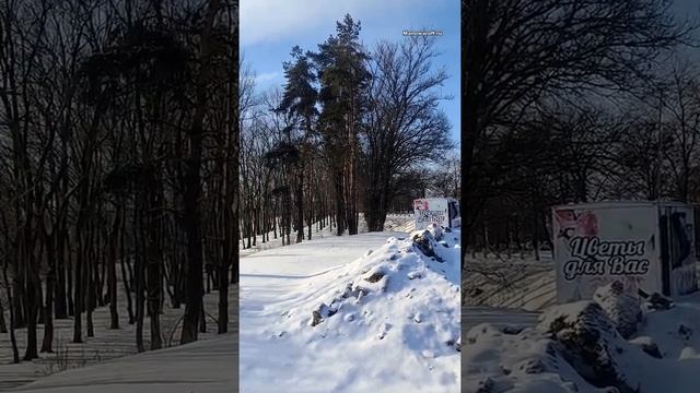 Памятник огурцу смотреть онлайн