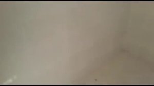 Баня из термобудки..