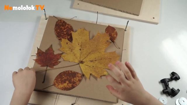 Как засушить гербарий? смотреть онлайн