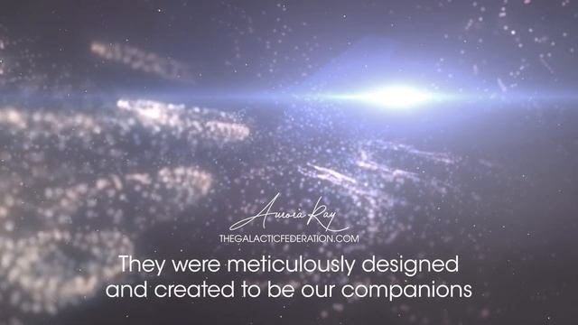 The Cosmic Guardians: How Cats Connect you with Higher Consciousness! смотреть онлайн