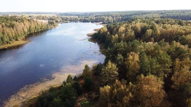 Река Суворощь, деревня Лихая Пожня, Вязниковский район, Россия смотреть онлайн