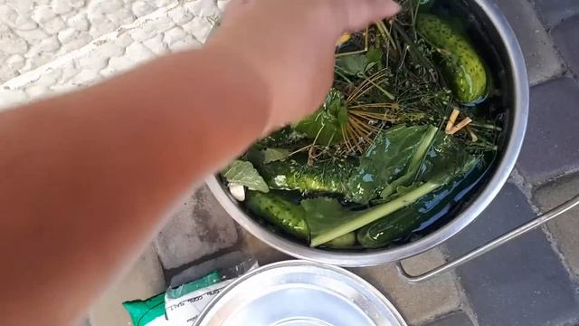 ОГУРЦЫ КАК БОЧКОВЫЕ- ТОЛЬКО СОЛЬ И ВОДА смотреть онлайн