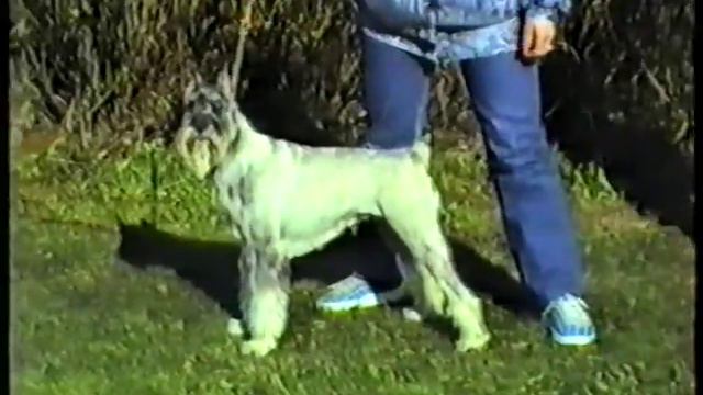 Выставка МГОЛС май 1991 года ( часть 2) смотреть онлайн