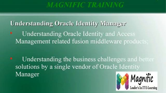 Oracle IDM 11g Online IT Services in USA смотреть онлайн