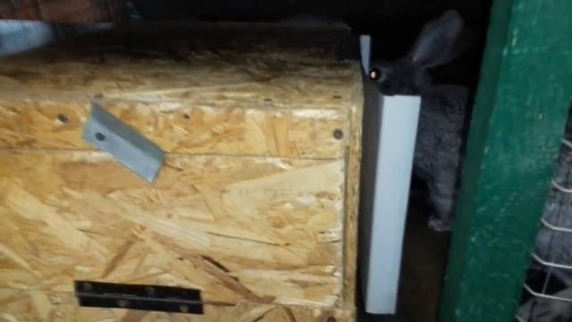 маточники для кроликов своими руками смотреть онлайн