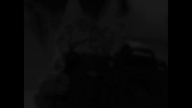 ФОТОГРАФЫ..