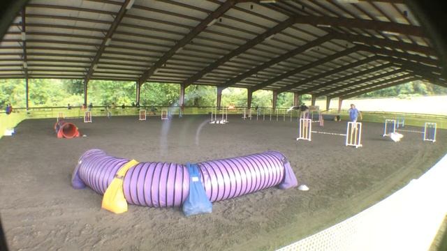 Java, Master series jumping, sat UKI смотреть онлайн