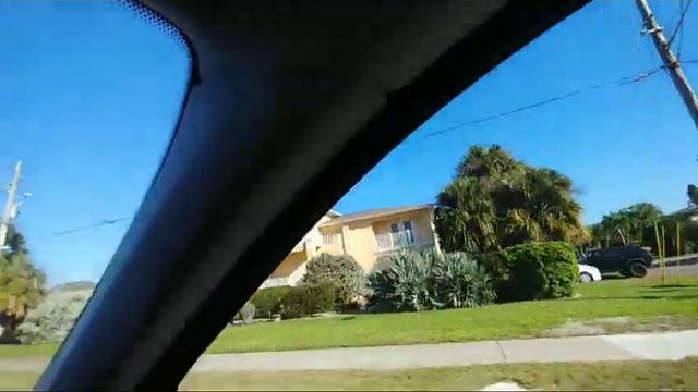 Растения в мелодии