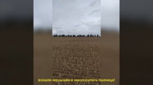 Акция#берегите хлеб