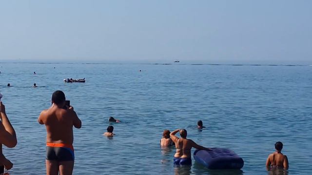 Дельфины в ЛОО 17 августа 2018 смотреть онлайн