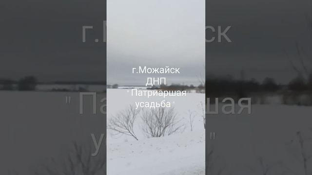 Инвестиции в доходные дачи под Можайском. ДНП "Патриаршая усадьба" смотреть онлайн