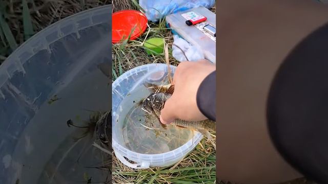 Рыбалка в сказочном месте