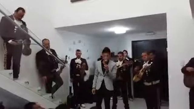 Paloma Negra Luis Fernando Venegas смотреть онлайн