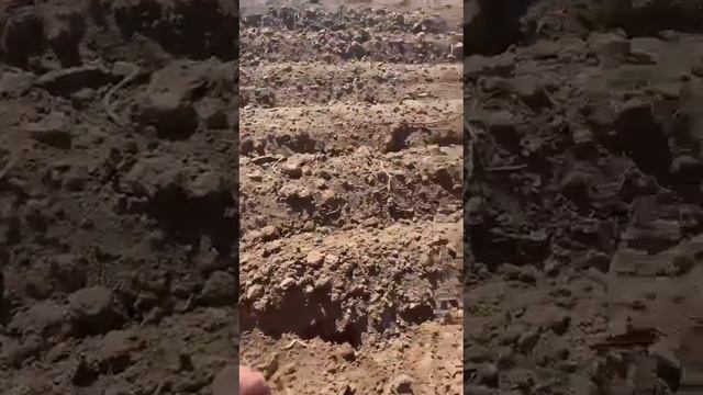 Кулунда Алтайский край первые всходы смотреть онлайн