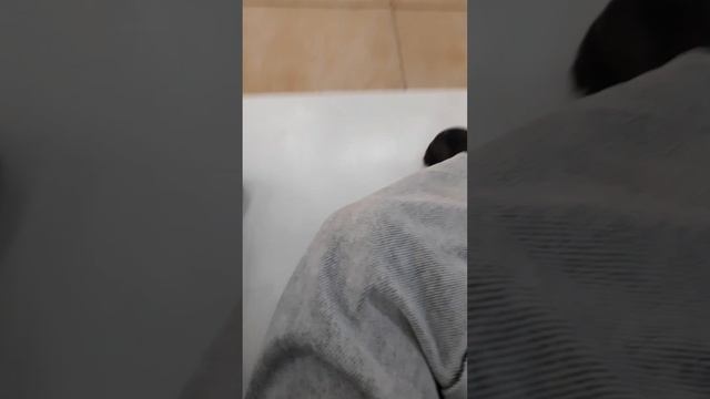 А4 бокс!!!!!!!!!!!!!! смотреть онлайн