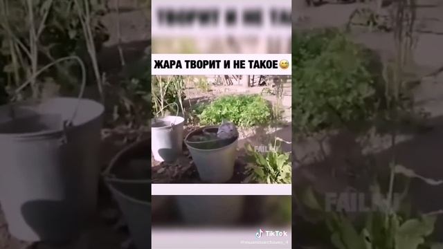 эх жара смотреть онлайн