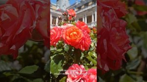 5 Минут в день и твоя жизнь  будет меняться. Аффирмации для женщин.