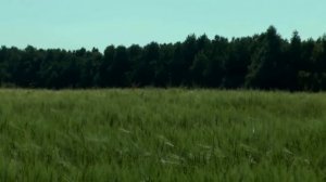 Музыка, 1 класс: Музыка народного праздника