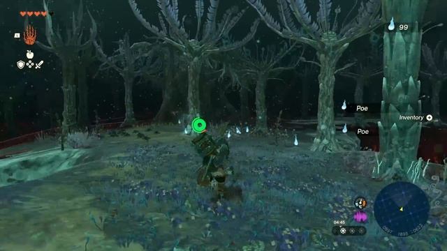 How To Enter THE LOST WOODS in Tears of The Kingdom | Guide & Walkthrough смотреть онлайн