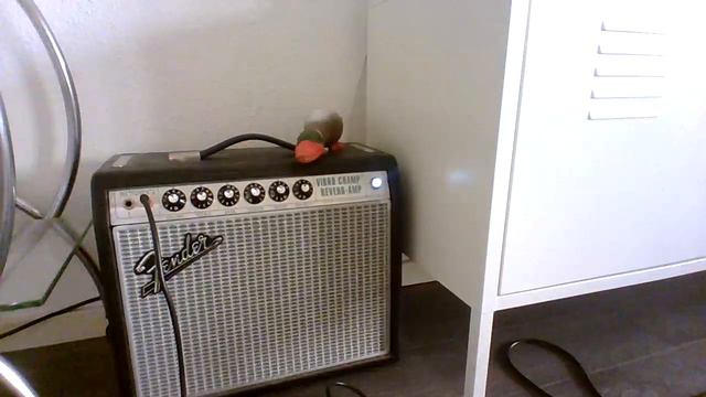 When You Wish Upon a Star смотреть онлайн