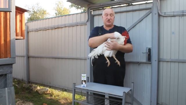 КАК ЗАЩИТИТЬ КУР ОТ ЛИХОРАДКИ ЗАПАДНОГО НИЛА . смотреть онлайн