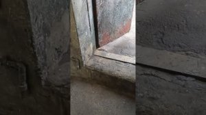 свечи Torch, стоит ли "переезжать" положенный срок.