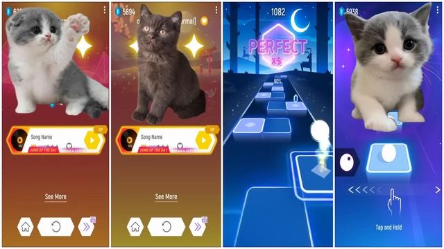 ALL CUTE CATS PT.2 - IMAGINE DRAGONS - WAKA WAKA - BTS - BLACKPINK - SAVAGE LOVE- MAROON 5 TILES HO смотреть онлайн