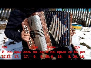 Любо, братцы, любо...  (разбор на гармони)