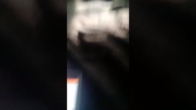 How2: Disable Alarms And Suspend Software in Nintendo Switch Parental Controls смотреть онлайн