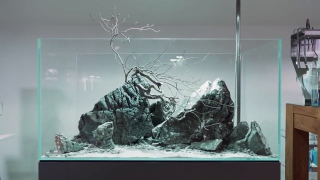 Ada Idea Studio - Aqua Design Amano Gallery Poland смотреть онлайн
