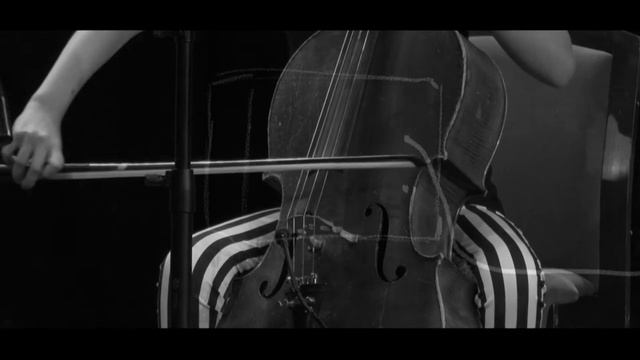 spot IN MEMORIAM Festiwal Grzegorza Ciechowskiego смотреть онлайн