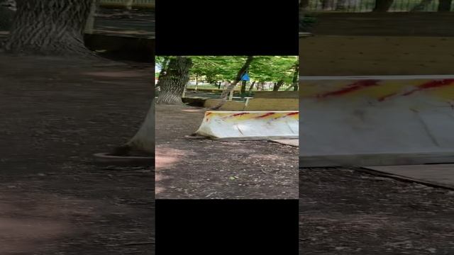 Ошибки собачников