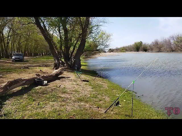 ВЕСЕННЯЯ РЫБАЛКА В АСТРАХАНИ 2023, ВОБЛА ПРОПАЛА