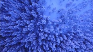 16 02 В ЭТОТ ДЕНЬ КАТЕГОРИЧЕСКИ ЗАПРЕЩЕНО ДАВАТЬ В  ДОЛГ. Народные приметы