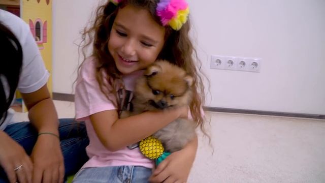 Аминка ВЫБИРАЕТ ПОДАРОК На ДЕНЬ РОЖДЕНИЯ Такой СЮРПРИЗ НИКТО НЕ ЖДАЛ смотреть онлайн