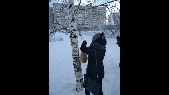 «Сохраним природу вместе" смотреть онлайн