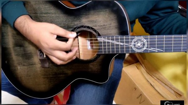 Xlarry A-1 premium solid top acoustic guitar (fishman eq) || guitar Land Bd