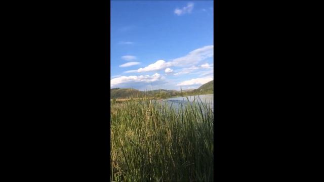 Лодка ПВХ Риф 360 НДНД + Sea Pro F15S - 42км/ч Салават.Башкирия.Сезон 2019 смотреть онлайн