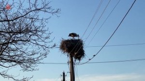 Украинское село в Молдове - Марамоновка / Один день в деревне где живут украинцы
