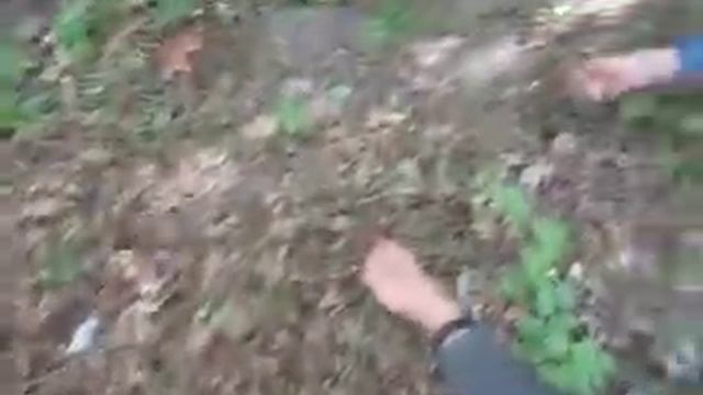 Анюта кормит белку с руки смотреть онлайн