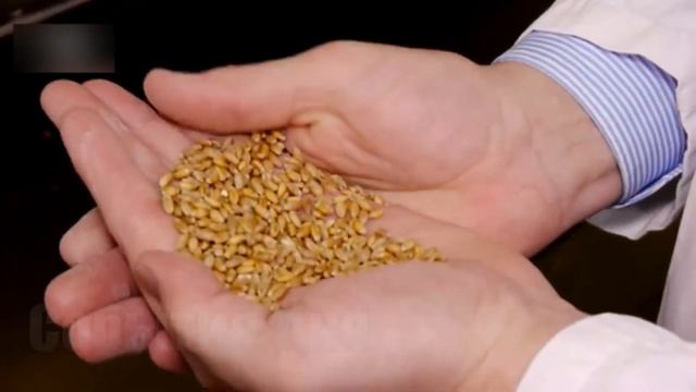 Евросоюз «сдал назад» в вопросе российских удобрений смотреть онлайн