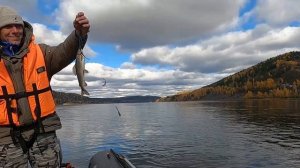 Рыбалка на Енисее, хариус на мушку. Рыбалка на тирольку и рыбалка на балду поздней осенью