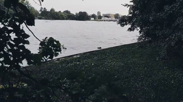 VID 20230811 204559 Надписи в зале Красной Армии (Витезслав Незвал)...Павел Васильев Лахтинский смотреть онлайн