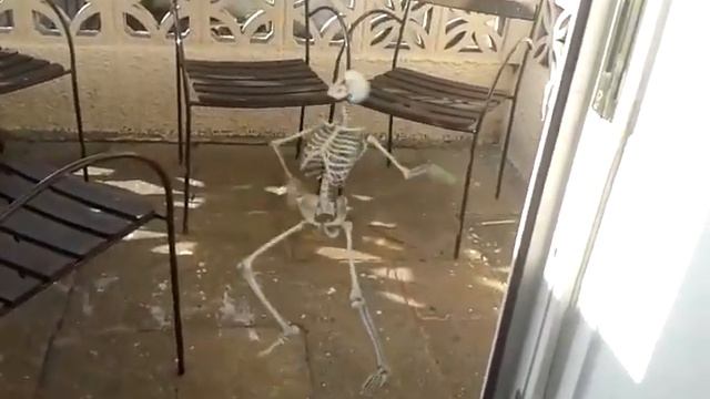 Скелет танцует у меня во дворе?? смотреть онлайн