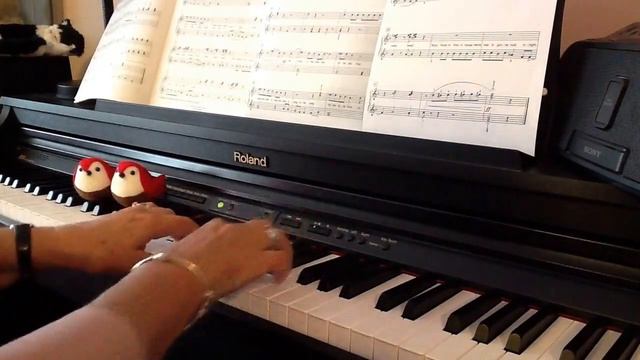 Rockin' Robin (digital piano duet) смотреть онлайн
