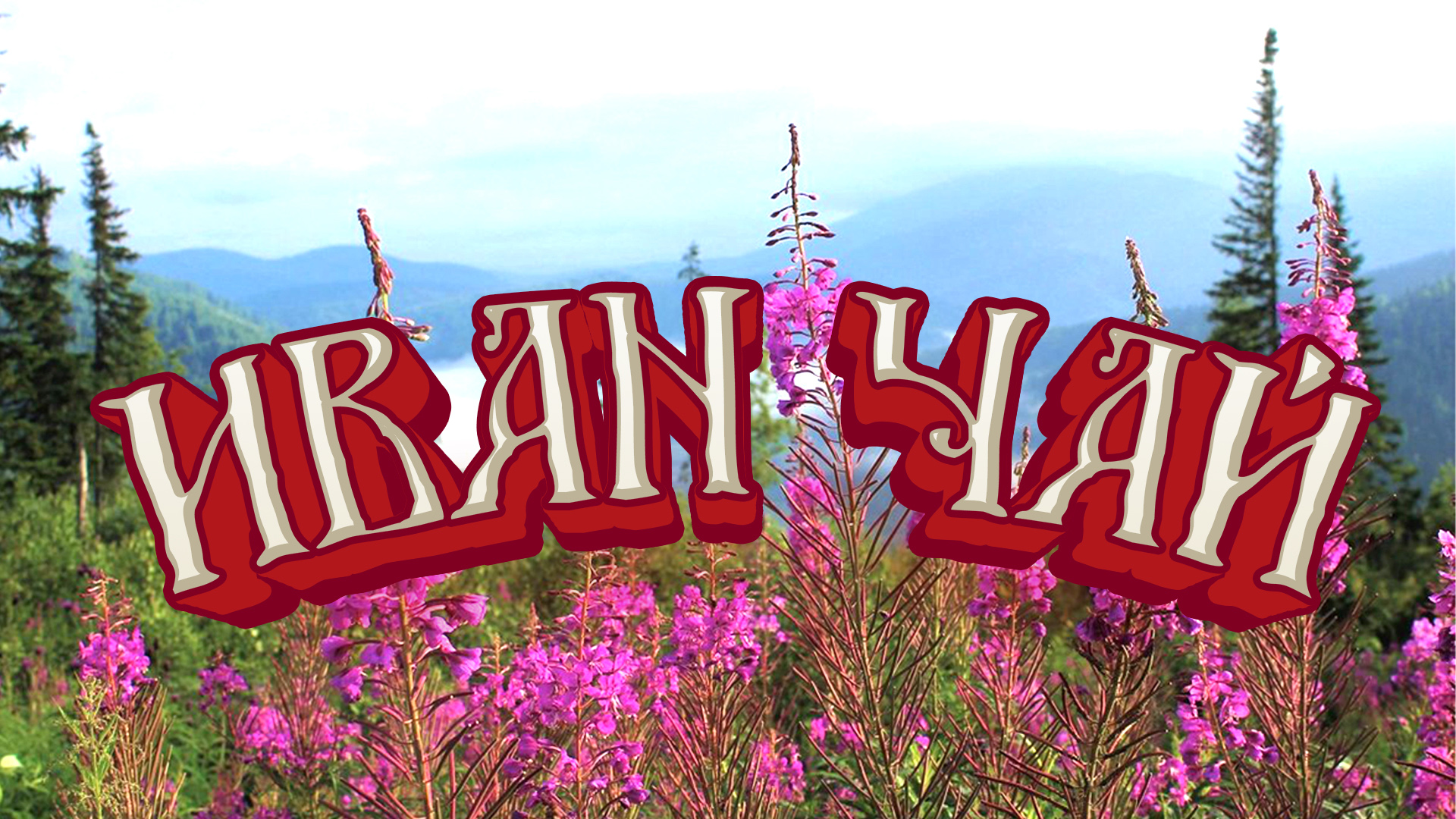 Как сделать Иван-чай - самая полная версия смотреть онлайн